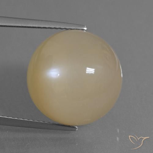 17.91ct Natürlicher Helles Pfirsichgold Mondstein, Runden, Lichtdurchlässig