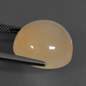 9,17 ctw natürlicher Mittelorange Mondstein, Rund Schliff, Lichtdurchlässig