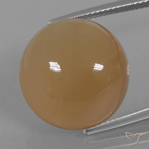 23.98ct Natürlicher Helles Erdnussbraun Mondstein, Runden, Lichtdurchlässig