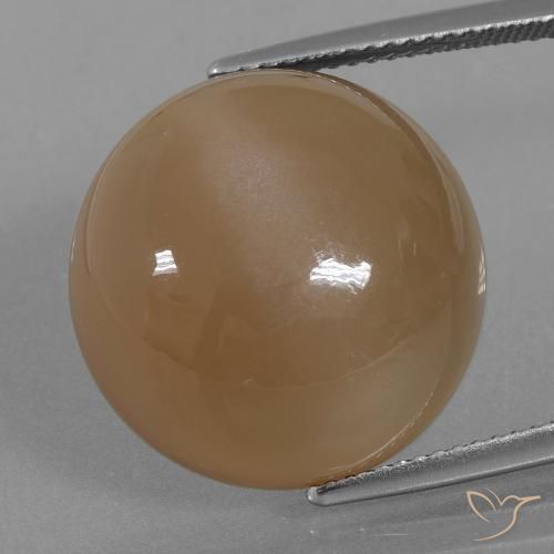 21.98ct Natürlicher Orangenbraun Mondstein, Runden, Lichtdurchlässig