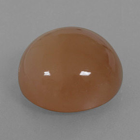 9,17 ctw natürlicher Warmes Braun Mondstein, Rund Schliff, Lichtdurchlässig