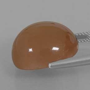 9,17 ctw natürlicher Warmes Braun Mondstein, Rund Schliff, Lichtdurchlässig