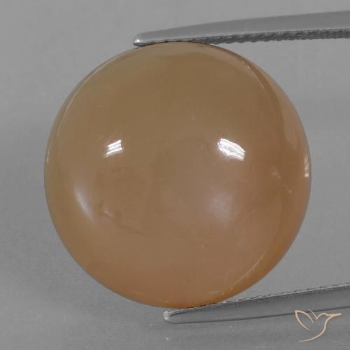 23.89ct Natürlicher Karamellbraun Mondstein, Runden, Lichtdurchlässig