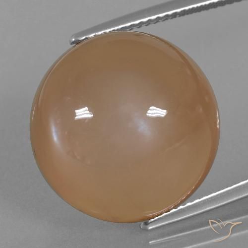 24.65ct Natürlicher Karamellbraun Mondstein, Runden, Lichtdurchlässig