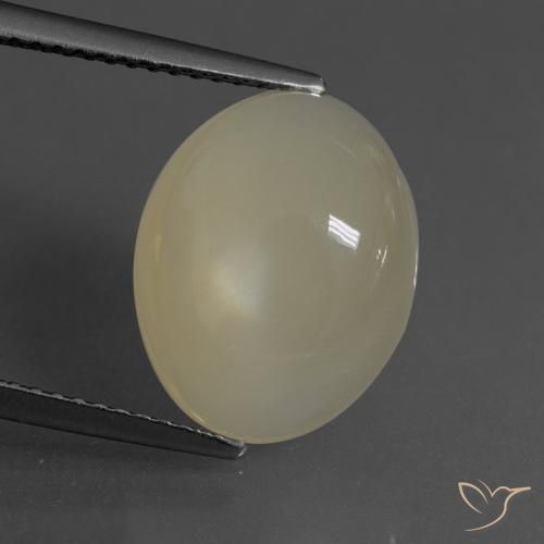 6.24ct Natürlicher Helles Kaffeebraun Mondstein, Oval, Lichtdurchlässig