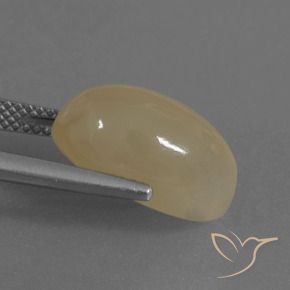 9,17 ctw natürlicher Helles Kaffeebraun Mondstein, Oval, Lichtdurchlässig