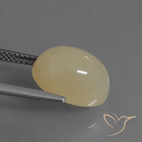 9,17 ctw natürlicher Helles Kaffeebraun Mondstein, Oval, Lichtdurchlässig