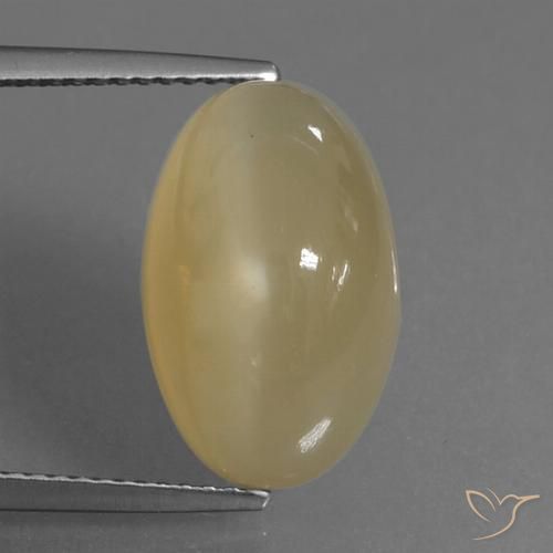 8.83ct Natürlicher Hellbraun Mondstein, Oval, Lichtdurchlässig, Photo A