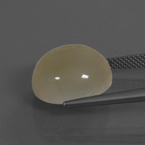 9,17 ctw natürlicher hellgolden Mondstein, Rund Schliff, Lichtdurchlässig