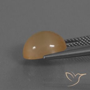 9,17 ctw natürlicher Cantaloupe-Orange Mondstein, Oval, Lichtdurchlässig
