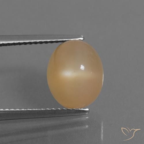 5.32ct Natürlicher Orange-Gold Mondstein, Oval, Lichtdurchlässig