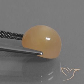 9,17 ctw natürlicher Orange-Gold Mondstein, Oval, Lichtdurchlässig