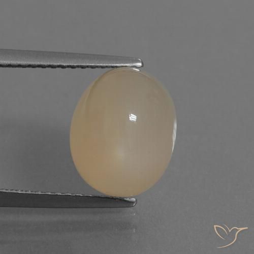 6.35ct Natürlicher Warmes Hellbraun Mondstein, Oval, Lichtdurchlässig