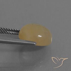9,17 ctw natürlicher Helles Kaffeebraun Mondstein, Runden, Lichtdurchlässig