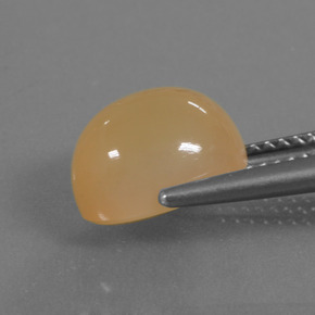 9,17 ctw natürlicher Orange-Gold Mondstein, Oval Schliff, Lichtdurchlässig