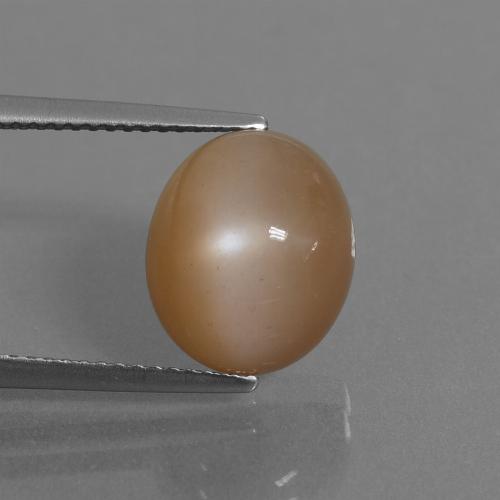 9,17 ctw natürlicher Erdnussbraun Mondstein, Oval Schliff, Lichtdurchlässig