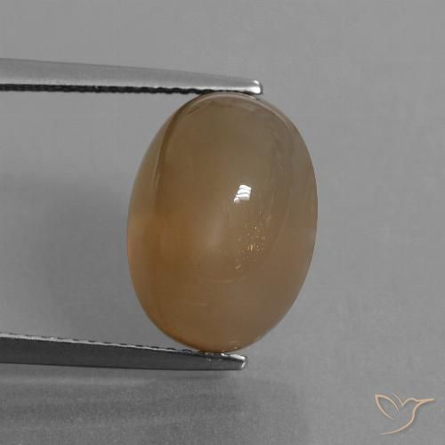 9.55ct Natürlicher Helles Karamellbraun Mondstein, Oval, Lichtdurchlässig