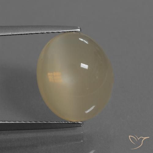 7.46ct Natürlicher Helles Kaffeebraun Mondstein, Oval, Lichtdurchlässig