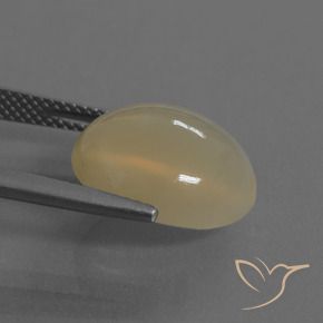 9,17 ctw natürlicher Helles Kaffeebraun Mondstein, Oval, Lichtdurchlässig