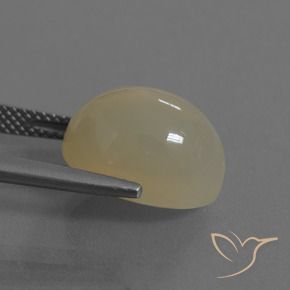 9,17 ctw natürlicher Helles Kaffeebraun Mondstein, Oval, Lichtdurchlässig