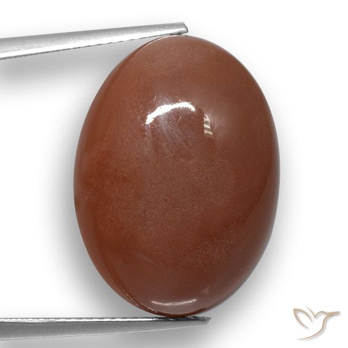20.59ct Natürlicher Mittel braun Mondstein, Oval, Lichtdurchlässig