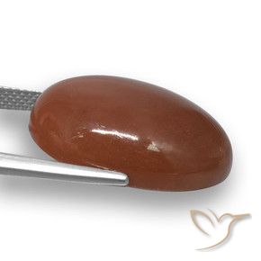 9,17 ctw natürlicher Mittel braun Mondstein, Oval, Lichtdurchlässig