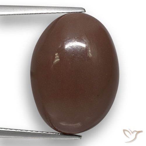 22.51ct Natürlicher Mittel braun Mondstein, Oval, Lichtdurchlässig