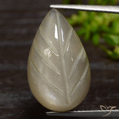 12.55ct Natürlicher Helles Kaffeebraun Mondstein, Fantasie, Lichtdurchlässig