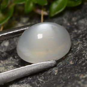 1,58 ctw natürlicher weißer Mondstein, Oval Schliff, Lichtdurchlässig