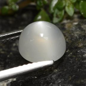 2,60 ctw natürlicher weißer Mondstein, Rundschliff, Lichtdurchlässig