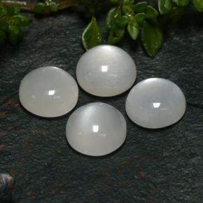 8,05 ct natürliche weißer Mondstein-Edelsteine, Rundschliff, Lichtdurchlässig