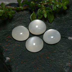 8,05 ct natürliche weißer Mondstein-Edelsteine, Rundschliff, Lichtdurchlässig