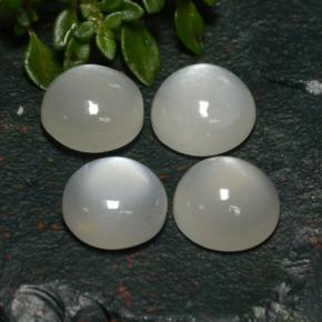 8,31 ct natürliche weißer Mondstein-Edelsteine, Rundschliff, Lichtdurchlässig