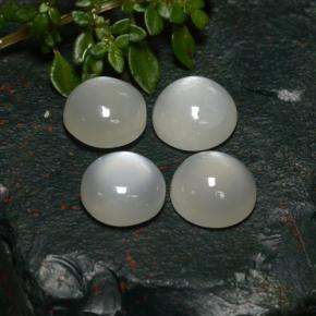 8,31 ct natürliche weißer Mondstein-Edelsteine, Rundschliff, Lichtdurchlässig