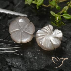 4.73 ct natürliche Sehr helles Braun Mondstein-Edelsteine, Blumen-Schliff, Lichtdurchlässig
