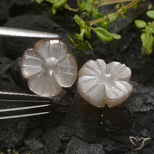 3.96ctw Natürlicher Warmes Hellbraun Mondstein, Blumen-Schliff, Lichtdurchlässig
