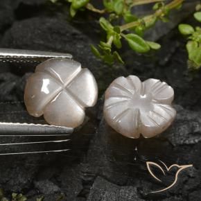 3.96 ct natürliche Warmes Hellbraun Mondstein-Edelsteine, Blumen-Schliff, Lichtdurchlässig