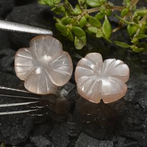 3.29 ct natürliche Sehr helles Braun Mondstein-Edelsteine, Blumen-Schliff, Lichtdurchlässig