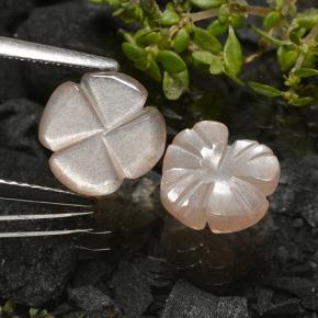 3.29 ct natürliche Sehr helles Braun Mondstein-Edelsteine, Blumen-Schliff, Lichtdurchlässig