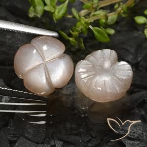 5.09 ct natürliche Helles Karamellbraun Mondstein-Edelsteine, Blumen-Schliff, Lichtdurchlässig