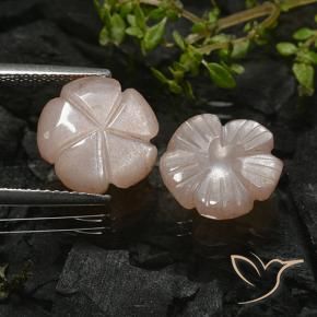 6.87 ct natürliche Helles Karamellbraun Mondstein-Edelsteine, Blumen-Schliff, Lichtdurchlässig