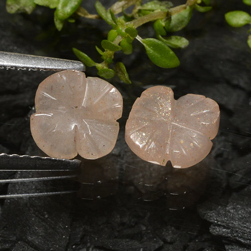 2,08 ct natürliche brauner Mondstein-Edelsteine, Blumenschliff, Lichtdurchlässig