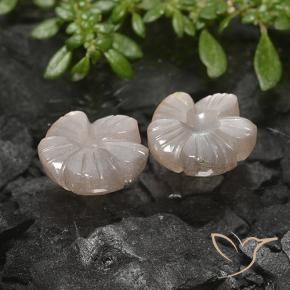 5.49 ct natürliche Sehr helles Braun Mondstein-Edelsteine, Blumen-Schliff, Lichtdurchlässig