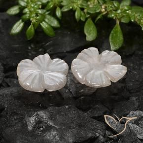 3.40 ct natürliche Helles Erdnussbraun Mondstein-Edelsteine, Blumen-Schliff, Lichtdurchlässig