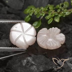 7.56 ct natürliche Sehr helles Braun Mondstein-Edelsteine, Blumen-Schliff, Lichtdurchlässig