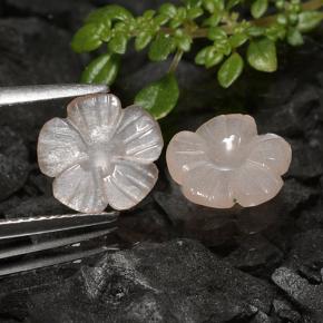 3.10 ct natürliche Sehr helles Braun Mondstein-Edelsteine, Blumen-Schliff, Lichtdurchlässig