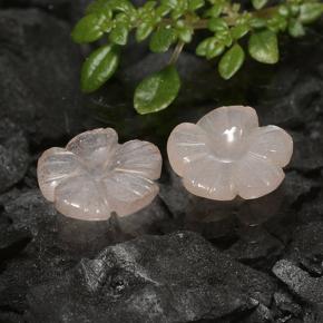 3.10 ct natürliche Sehr helles Braun Mondstein-Edelsteine, Blumen-Schliff, Lichtdurchlässig