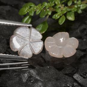 3.10 ct natürliche Sehr helles Braun Mondstein-Edelsteine, Blumen-Schliff, Lichtdurchlässig