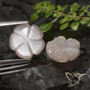 4.83 ct natürliche Helles Karamellbraun Mondstein-Edelsteine, Blumen-Schliff, Lichtdurchlässig