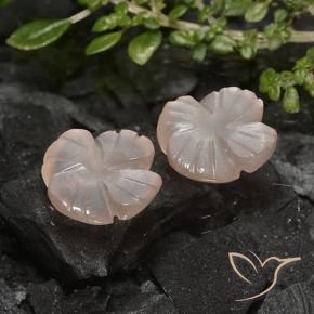 4.26 ct natürliche Sehr helles Braun Mondstein-Edelsteine, Blumen-Schliff, Lichtdurchlässig